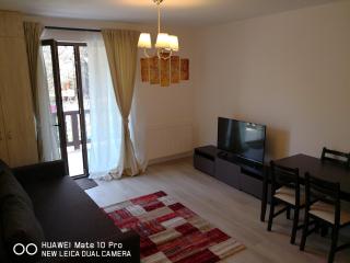 Apartament Pheonix - Buşteni - 4