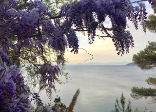 Enza Vacanze - Santa Maria di Castellabate - 1