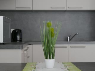 Hotel & Mühlenapartments by AVERA Gernsbach GmbH - 1