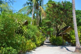 Forra Dive Resort Sunrise - Ko Lipe - 3