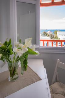 Arodou Studio and Apartment - Mikonos - 1