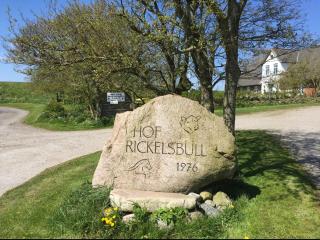 Hof Rickelsbüll - Nordseeurlaub auf dem Biobauernhof - Rodenäs - 7