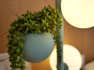 See Moon Homestay - Yuchi - 1