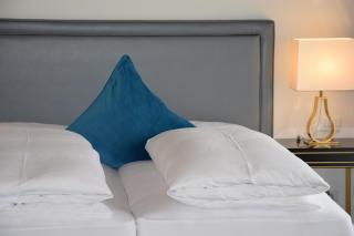 Atel Hotel Lasserhof - Salisburgo - 3