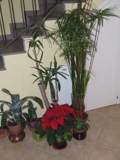 B&B La Corte - 1