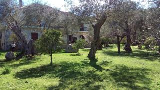 Baronessa's Apartments - 4
