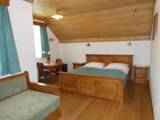 Šport center Prodnik - Ljubno - 3