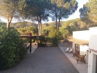 Villa Timothy - Procchio - 9