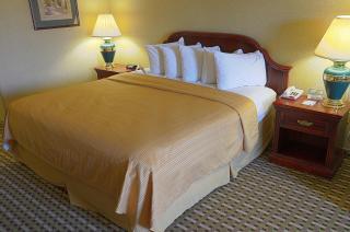 Quality Inn Brunswick - 4