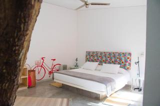 Hotel Cosijo - San Jeronimo Tlacochahuaya - Città di Oaxaca - 0