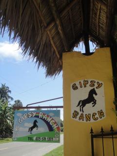 Gipsy Ranch Rooms - Cabarete - 8