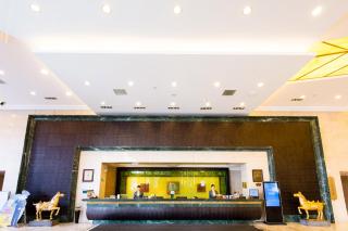 Blue Palace Hotel - Jiading - 9