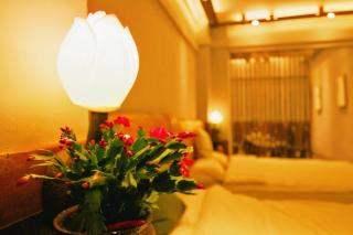 Yunlu Lianxin Guesthouse - Jinghong - 9