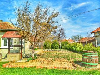 Guest House Dimi - 7