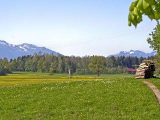 Paulhof am Chiemsee - Seeon-Seebruck - 6