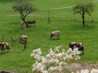 Jaklhof - 3