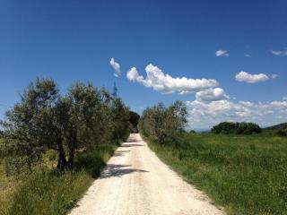 Podere Ianni - San Casciano in Val di Pesa - 8