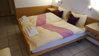 Hotel Lötschberg - Spiez - 5