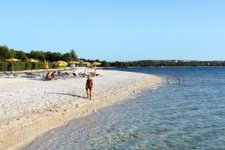 Family friendly apartments with a swimming pool Valbandon, Fazana - 7346 - 1