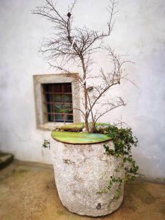 cres art studio lime apartment - Cres - 7