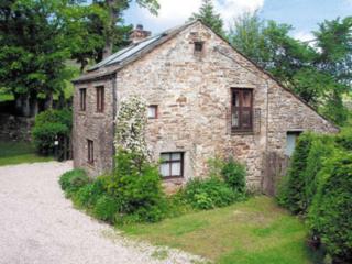 Widows Cottage - Alston - 9