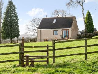 Silver Birch Lodge - 9