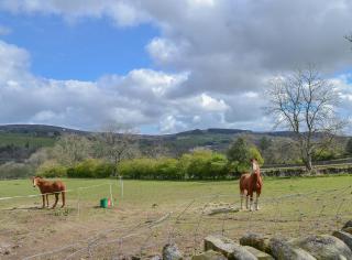 Yarker Lane Cottage - Mickleton - 1