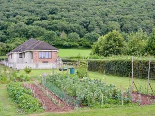 Meadow View - 8