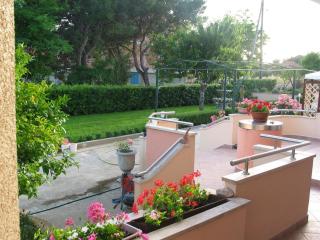 Apartments with a parking space Privlaka, Zadar - 12989 - Privlaka (Brevilacqua) - 9
