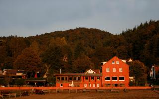 Longhorn Ranch Countryhotel - Garni - Schönau - 5