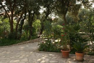 Apartments with parking space Mandre, Pag - 4075 - 6
