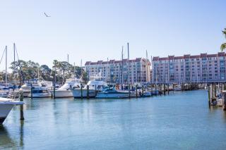 Best Western Plus Yacht Harbor Inn - Dunedin - 8