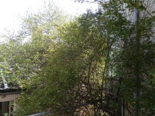 Silver House - Varna City - 5