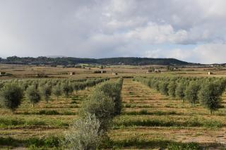 Agroturisme Gossalba - 7