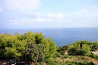 Apartments by the sea Zavalatica, Korcula - 247 - 1