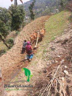 Bhattidanda Fresh & Natural Homestay - 4