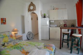 Tropical Gecko Studio - Sweet Jewel Apartments - Christ Church - 1