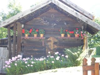 le Montagny - Les Houches - 1