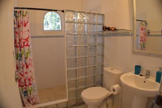 Tropical Gecko Studio - Sweet Jewel Apartments - Christ Church - 4