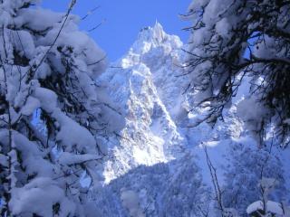 le Montagny - Les Houches - 4