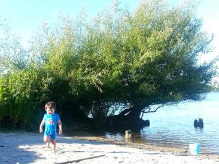 Koutu Beach Bed and Breakfast - Rotorua - 9