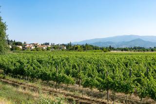 Agriturismo Albergotti - Arezzo - 6