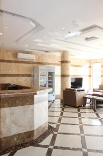 Camillia Hotel Suites - Khamis Mushayt - 8