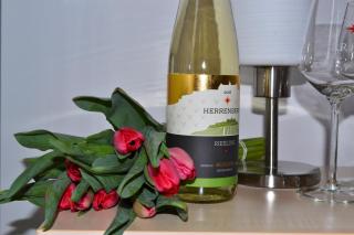 Herberge 39 - Meißen - 5