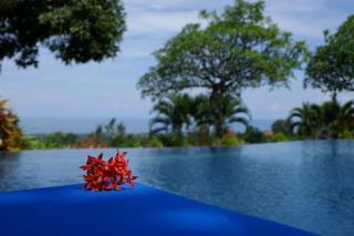Puri Mangga Sea View Resort and Spa - Lovina - 9