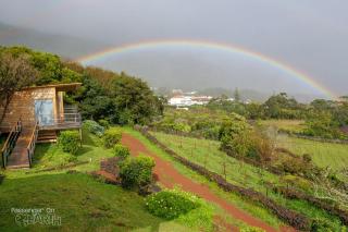 Intact Farm Resort - Velas - 8