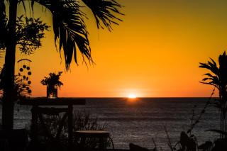 Miramar SurfCamp - Puerto Sandino - 7
