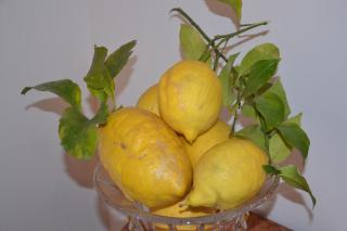 Terra Murata Boutique b&b - Procida - 3