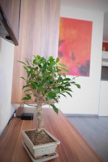 Apartment Suite von Betzenstein - 2