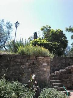 Villa Il Bosco - Fiesole - 6